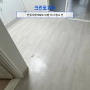 문정시영아파트(3동앞) | 송파구 입주청소 크린토피아 후기 - 문정시영 아파트 이사청소