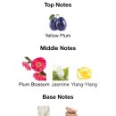 플럼블라썸(Plum Blossom) | [취향ㅣ향수] 조말론 플럼 블라썸 - 단종 향수 대체품 찾기 여정