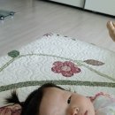 예쁜이PC 이미지