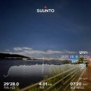 영바디복싱 | [8월 3~4주와 결산] 습도, 장염, 위염...그리고 복싱