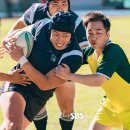 드라마 트라이 우리는 기적이 된다 후기 럭비공처럼 막 튀네