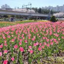 낙동강관리본부 화명생태공원 12 이미지