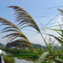 개정동사무소 이미지