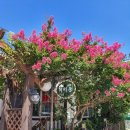 개미촌펜션 | 대천해수욕장펜션에서 소소하게 힐링하고 온 후기