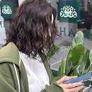 파리바게뜨 단관점 | 머리 다듬을 때 됐네? 싹~ 변신하고 온 썰 푼다!