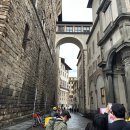 세계미술관투어 | 피렌체 우피치 미술관 투어 후기 티켓 예약 방법