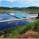 성율농장 이미지