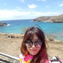 하와이 3일차 하나우마베이 &amp;릴리하베이커리 이미지