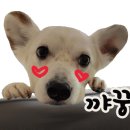 노은헤어 - 유성구 | 노은헤어