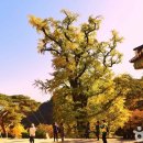 부평남부역 우측 이미지