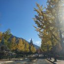 라파지압원 이미지