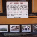 법계사 - 903 | 법계사