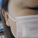 노아덴탈 이미지