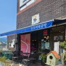 여행투어 2️⃣ / 감성카페] 고즈넉한 분위기 '오차커피공방' 핸드드립 솔직후기 &amp; 순둥이 강아지 바우바우 ☕🐾