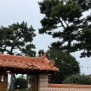 대산북로 | [내돈내산/창원 대산 카페]르꼬르동 블루 파리 출신 사장님이 만드는 디저트가 맛있는 몽비스키 후기