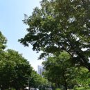 트리지움세탁 이미지