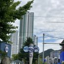 튜브박스주