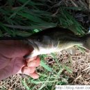 청도천7 이미지