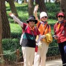 자연송림 이미지