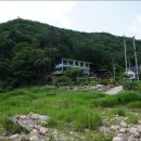 모곡1 Daum카페