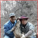 대물축산 이미지