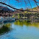 동래복국 아구랜드 이미지