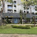 파라스파라 서울 이미지