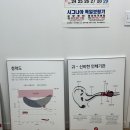 시그니아독일보청기일산서구센터