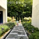 나진스테이 풀빌라 이미지