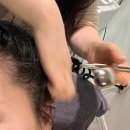 셀비아하남뷰티센터 | [뷰티관리] 하남미사 여름철 두피관리! 웰킨두피탈모센터 하남미사점
