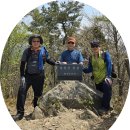 서천 문수산 & 희리산 & 무창포 (24.4.12) 이미지