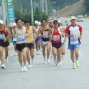 홍성 이봉주 마라톤대회 이미지