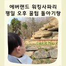오후 | 에버랜드 워킹사파리 평일 방문 오후 후기 꿀팁 이거알고가세요