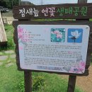 안심창조밸리 천천둘레길 이미지