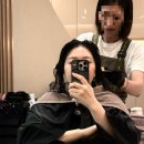 그린미용실 - 아산시 | 해운대미용실 헤어그린 하영 부원장 클리닉 후기, 장산미용실에서 손상모 관리 성공!