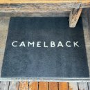 도쿄샌드위치 | 도쿄 카페 추천 카멜백 타마고샌드위치 가격 주문 후기