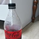 도미노피자동소문점