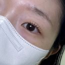 가야로L | 삼계동 속눈썹펌 키레이뷰티 무쌍 짝눈 속눈썹펌 솔직 후기