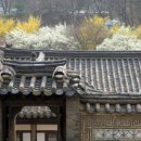 청사초롱 이미지