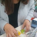 뚝딱뚝딱 토탈 공예 이미지