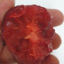 대웅농장 이미지