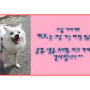 뚜레쥬르금천뉴타운점 이미지