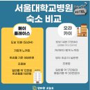 메이플약국 | 서울대학교병원 숙소 추천 (메이플레이스 vs 오라카이, 도보 부모님 동행 실제 후기)
