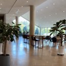 러브랜드 미술관 | 제주 바사그미｜러브랜드 인근 ‘갤러리+정원’ 대형 카페 솔직후기