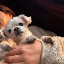 남밀양농협주유소 | 밀양 단독주택 매매 6,200만원｜2층 구조 옥상 활용 가능 남밀양IC 9분