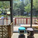 텐시퍼피 이미지