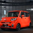 레이 펫 이미지