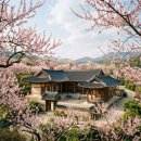 "500년 종가 술의 풍류"...안동 농암종택, 개복숭아 야생꽃 피날레