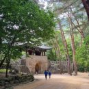 바람하우스 | (24.6.)[괴산] 조령산자연휴양림(조령3관문)연풍새재 ~ 문경새재 과거길(조령 2관문) _ 걷기 좋은 옛길...