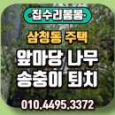 주택 앞 | 삼청동 주택 앞마당 나무 송충이 퇴치 방제 작업 후기!